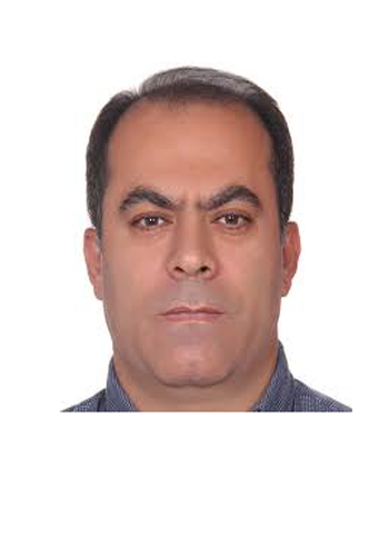 Prof. Hamidreza Mirzaei-Alamouti