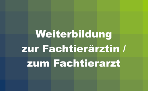 Weiterbildung-zum-Fachtierarzt