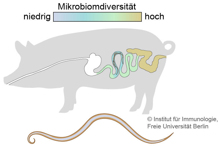 Microbiome_DE