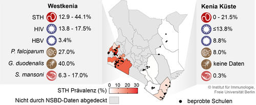 Abb. 1 Prävalenz von bodenübertragenen Helminthen (STH) in Kenia und gleichzeitig auftretende Infektionen in Gebieten mit hoher STH-Prävalenz (Schlosser-Brandenburg et al. 2023).