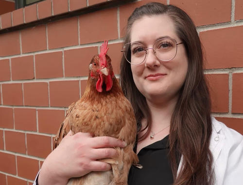 Larissa Schlegel-Pape: How to see stress in chickens: On the way to a Stressed Chicken Scale