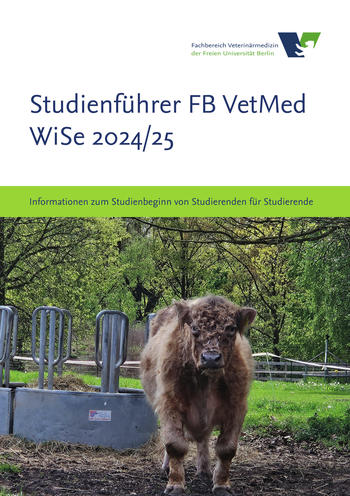 Studienführer WiSe 2024/25