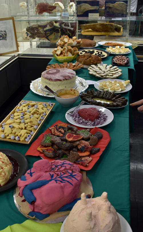 Prof. Plendl's colleagues and students at the Institute of Veterinary Anatomy threw her a successful surprise party to say goodbye. The very original buffet in particular caused a lot of amazement.