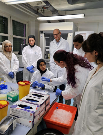 Students of the University of Jordan preparing samples for measurement of the amount of protein obtained as part of the cell physiology practical course